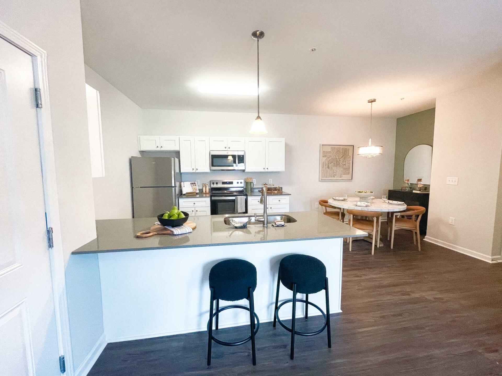 kitchen view of pet-freindly apartment sc