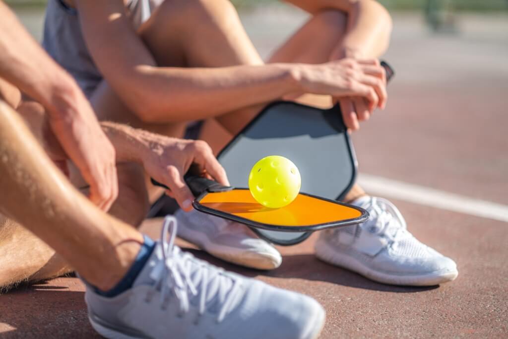 pickleball court northbrook